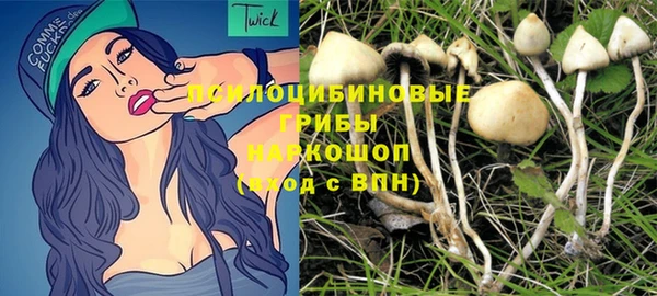 спиды Нея