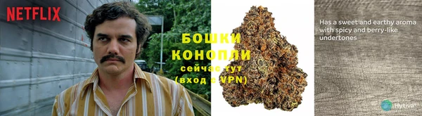 спиды Нея