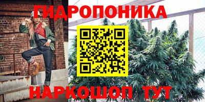 мяу мяу мука Ирбит