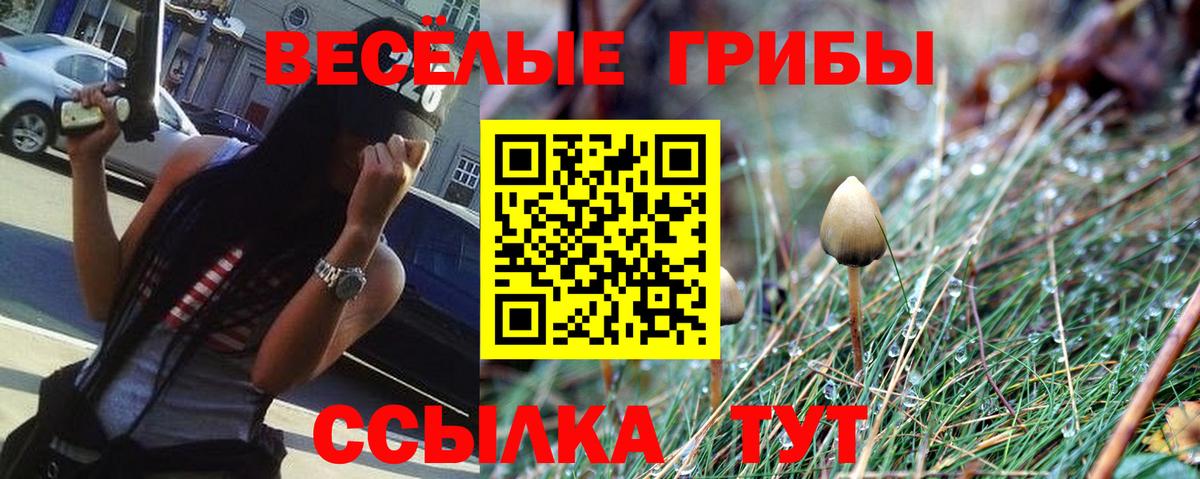 Псилоцибиновые грибы мицелий Ирбит