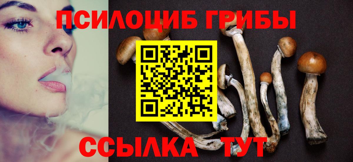Галлюциногенные грибы MAGIC MUSHROOMS Ирбит