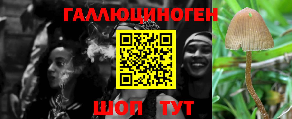Псилоцибиновые грибы ЛСД  Ирбит 